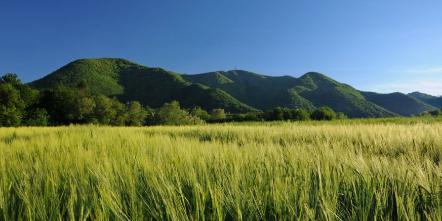 GRADSKA KNJIŽNICA Djeco, sutra u 17.00 sati dođite na pričaonicu i radionicu Legenda o Ivančici!