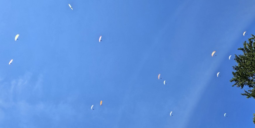 20240629_132838.jpg