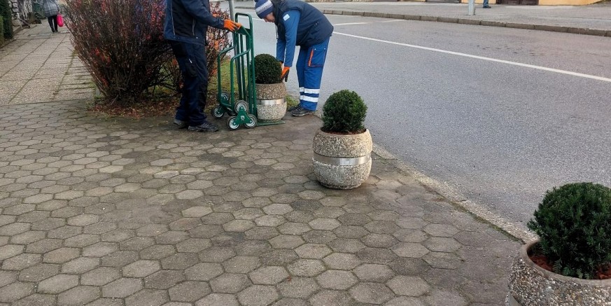 nove zardinjere1.jpg