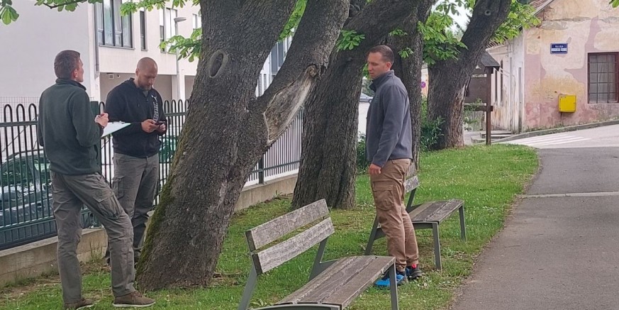 NA „ZDRAVSTVENOM“ PREGLEDU Stručnjaci Hrvatskog šumarskog instituta u procjeni zdravstvenog stanja ivanečke lipe, kestenova u Malom parku i drugih parkovnih stabala