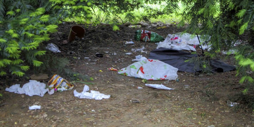 IVANEČKI PARK Čemu ovakav primitivizam?