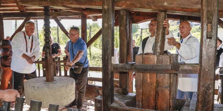 U BERBI  NA ŠATORNJAK BRIJEGU Skrajski pajdaši i KUD Salinovec prikazali tradicionalnu berbu grožđa
