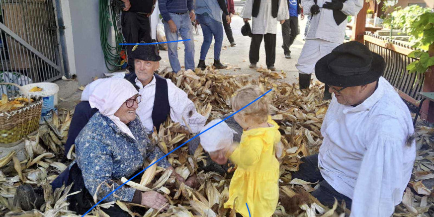 DRUŠTVO MASKA Održana tradicionalna berba kukuruza, veselo na trebitvi i jezdenju