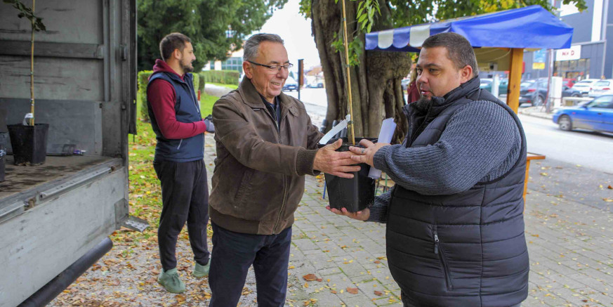 POZIV GRAĐANIMA Predbilježite se za dodjelu stabalca klonirane ivanečke lipe! Početak prijava: utorak, 14. listopada, od 7 sati