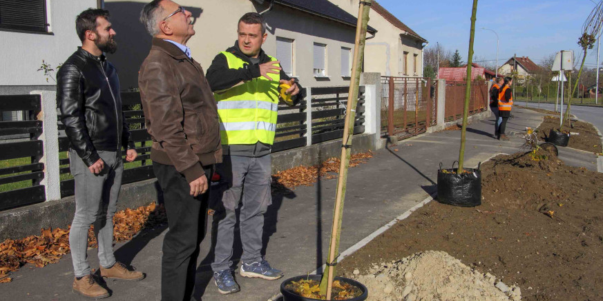 POČELA SADNJA MLADOG DRVOREDA U NAZOROVOJ ULICI  U tijeku sadnja 200-injak mladih kuglastih javora