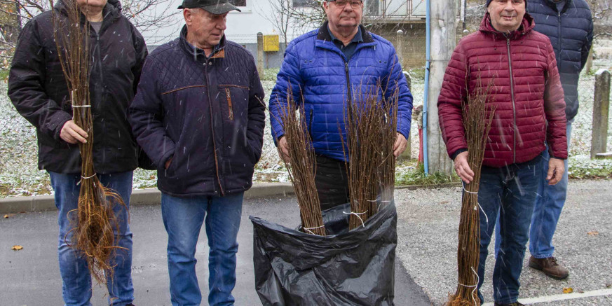 PČELARSKA UDRUGA „IVANŠČICA“ Pčelarima podijeljene šibe mađarskog bagrema