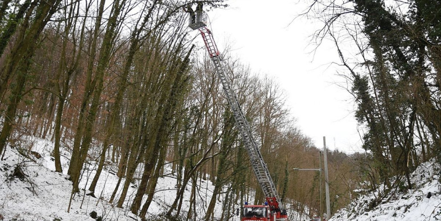 INTERVENTNE SLUŽBE I DALJE NA TERENU Uklanjajustabla uz cestu u Pecama, koje prijete rušenjem na električne vodove