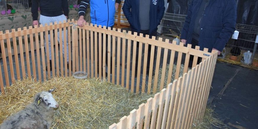 FAUNA Velik posjet izložbi malih životinja u sportskoj dvorani Osnovne škole Ivanec