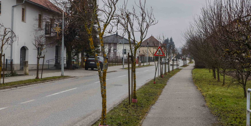 NASTAVAK RADOVA NA ZELENOJ URBANOJ OBNOVI IVANCA Idući tjedan uklanjanje lošeg drvoreda u Malezovoj i Varaždinskoj te kestena u Malom parku