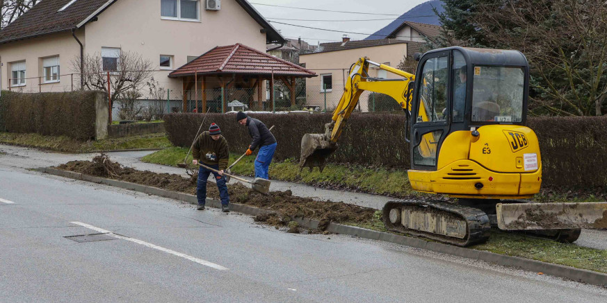 NOVI DRVORED Odabrana vrsta stabla za drvorede u Varaždinskoj i Malezovoj ul. – sadit će se 100-ak stupolikih likvidambara
