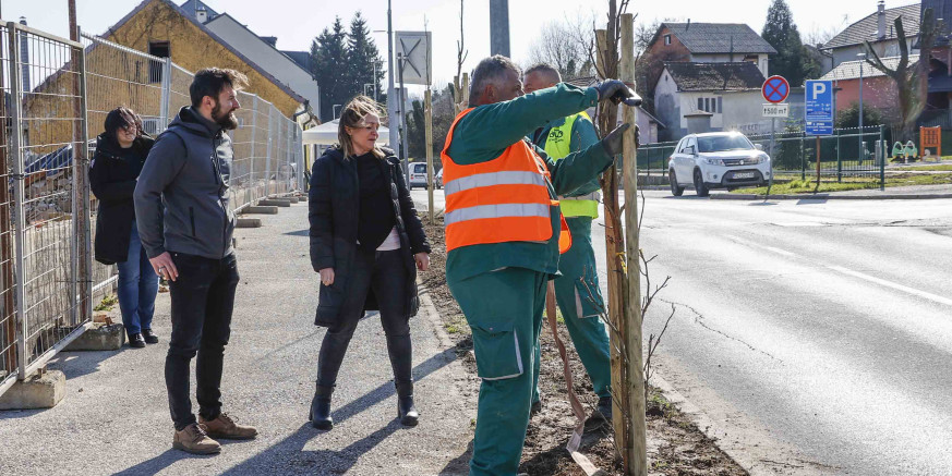 POČELA SADNJA MLADIH DRVOREDA Likvidambari u Malezovoj i Varaždinskoj ulici, divlji kesteni u Malom parku