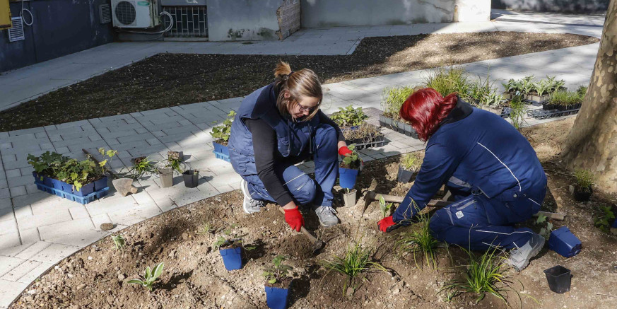 PARK U ARNOLDOVOJ U tijeku hortikulturno uređenje, sadi se 950 komada raznih trajnica, grmlja i ukrasnih trava