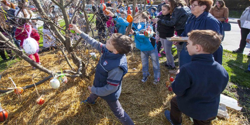 Djeca, građani i udruge pozvani da 19. ožujka u centru Ivanca pisanicama okite Ivanečko uskrsno stablo